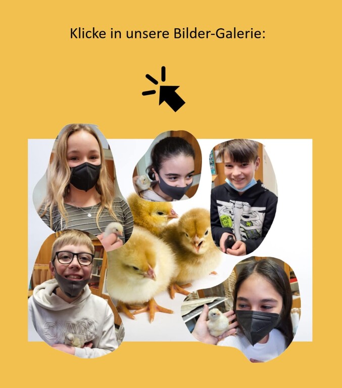 22 huhn 1