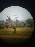 img_20220622_155459