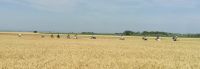 img_20220627_162449