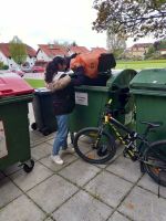 foto_mullsammeln_1_2a_22