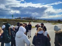 bild_1