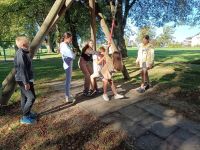 foto_9