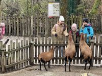 img_2330