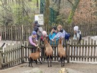 img_2338