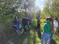 medien_39