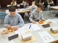 shared_image_31
