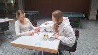 shared_image_335
