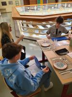 shared_image_42