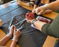 shared_image_22