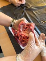 shared_image_23