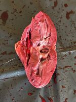 shared_image_24