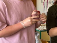 shared_image_28